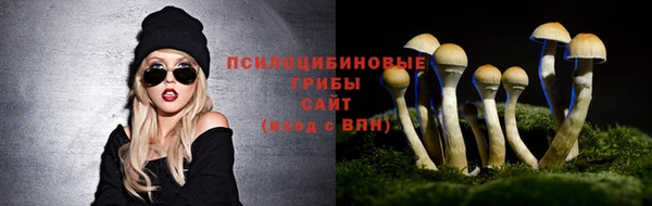 кокаин VHQ Богданович