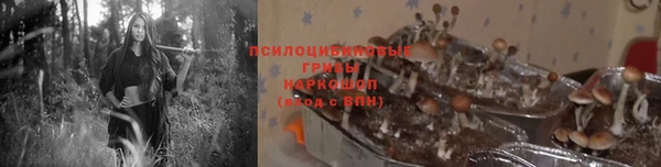 Альфа ПВП Богородск