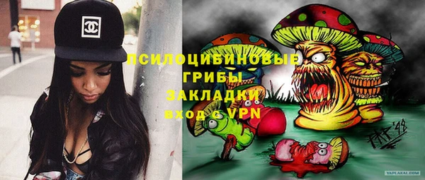 Альфа ПВП Богородск